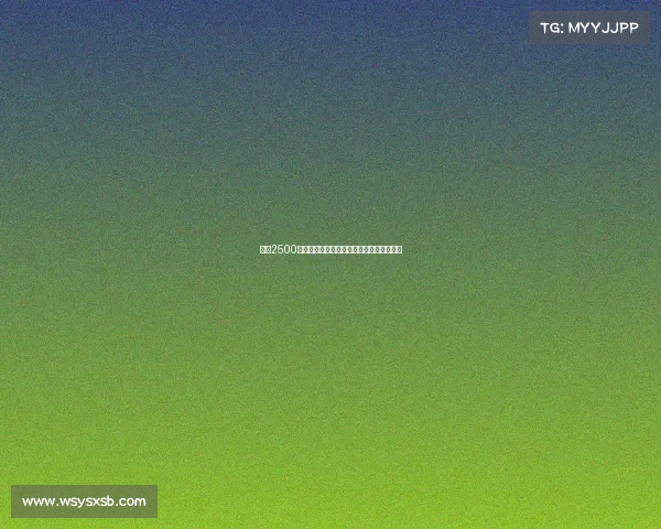 罗马2500万新援埃尔艾纳维引领中场革新开启新篇章